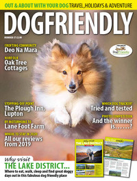 DogFriendly January/February 2020 Magazine Back Copies Magizines Mags