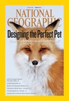 National Geographic March 2011 Magazine Back Copies Magizines Mags