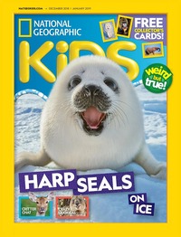 National Geographic Kids December/January 2018 Magazine Back Copies Magizines Mags