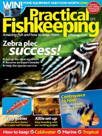 Practical Fishkeeping April 2014 Magazine Back Copies Magizines Mags