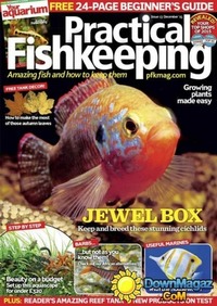 Practical Fishkeeping December 2015 Magazine Back Copies Magizines Mags