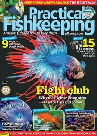 Practical Fishkeeping July 2016 Magazine Back Copies Magizines Mags