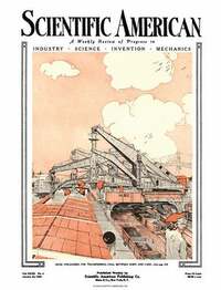 Scientific American January 1920 Magazine Back Copies Magizines Mags