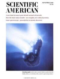 Scientific American September 1988 Magazine Back Copies Magizines Mags