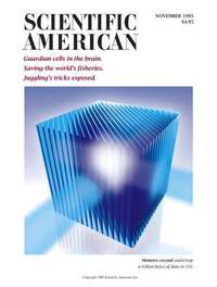 Scientific American November 1995 Magazine Back Copies Magizines Mags