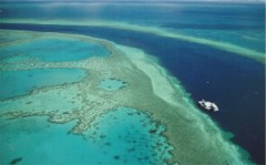 The Great Barrier Reef Arial Shot