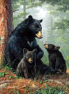 hautman brothers collection by buffalo, bear family photo