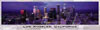 los angeles california, buffalo jigsaw puzzle, panoramic puzzles from photos of james blakeway