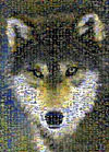 grey wolf jigsaw puzzle by buffalo, photomosaic by robert silvers,