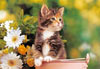 1000 pieces jigsaw puzzle by castorland, green-eyed kitten