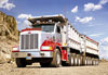 1000 pieces jigsaw puzzle by castorland, peterbilt dump-truck