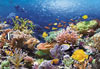 1000 pieces jigsaw puzzle by castorland, coral reef fishes