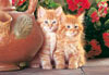 red kittens jigsaw puzzle, cute cats, 1500 puzzle by castorland