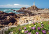 channel islands lighthouse, castorland 2000 pieces jigsaw puzzle