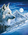 1000 Piece Jigsaw Puzzle Clementoni Puzzles The Wolf photographic fantasy fluorescent image