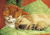 jigsaw puzzle by clementoni, cat and dog sleeping together, cute 1000pieces jigsawpuzzle