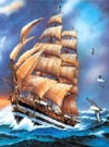 Clemmy Puzzle Jigsaw amerigo vespucci tall sail ship
