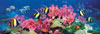 clementoni jigsaw puzzle, 1000 pieces, painting of a barrier reef photograph clementoni