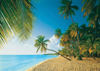 clementoni jigsaw puzzle 1000 pieces of tropico, multimedia graphics effects music free d