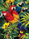 clementoni jigsaw puzzle, 1000 pieces, paintin of a majestic macaws 3D by howard robinson clemen