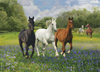 1000 Piece Jigsaw Puzzle ClementoniPuzzles Horses photographic fantasy image tropical