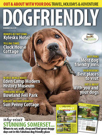 DogFriendly March/April 2020 Magazine Back Copies Magizines Mags