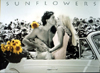 Sunflowers photograph by S. Maxwell by educa made in spain 1000 piece jigsaw puzzle black and white
