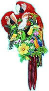 a 1000 piece shapped puzzle of tropical birds including two scarlett macaws by fx schmid