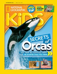 National Geographic Kids June/July 2018 Magazine Back Copies Magizines Mags