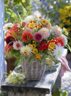 Friedrich Strauss Dhalias Flowers 500 Pieces Jigsaw Puzzle by Ravensburger Puzzles & Games # 143436