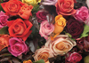 A Rosy Bunch of Roses Flowers 1000 Pieces Jigsaw Puzzle by Ravensburger Puzzles & Games