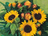 Summer Bouquet of Flowers 1000 Pieces Jigsaw Puzzle by Ravensburger Puzzles & Games