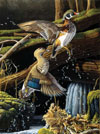 beautiful birds of the USA leaving the pond ravensburger 1000 piece jigsaw puzzel # 157068