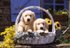 Basket of Puppies Ravensburger Jigsaw Puzzle 1000 Pieces jean-michel sotto made by Ravensberger Germ