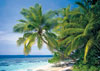 maldives nation puzzle ravensburger 26 atolls 1192 islands 1000 pieces