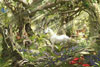 Ravensburger 5000 Piece Jigsaw Puzzle titled Fantasy World # 174072 with white unicorn DavidPenfound