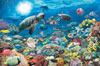 underwater tranquility 5000 piece jigsaw puzzle by Ravensburger with softclick texchnology