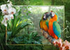 cozy macaws beautiful birds ravensburger 1000 piece jigsaw puzzel # 191888