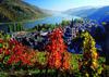 on the river rhine photo german landscape jigsaw puzzle ravensburger puzzle