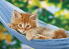 Sabine Rath's photograph of a kitty in a swing ravensburger 1000 piece jigsaw puzzle with softclick