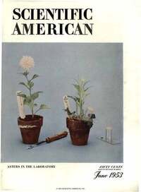 Scientific American June 1953 Magazine Back Copies Magizines Mags