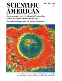 Scientific American December 1990 Magazine Back Copies Magizines Mags