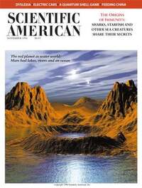 Scientific American November 1996 Magazine Back Copies Magizines Mags