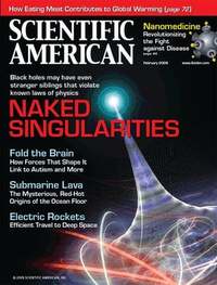 Scientific American February 2009 Magazine Back Copies Magizines Mags