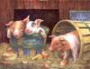Three Pigs painted by Lorraine Ryan 1000 piece jigsaw puzzle manufactured by suns out