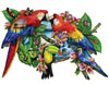 Parrots in Paradise painted by Lori Schory 1000 piece jigsaw puzzle manufactured by sun